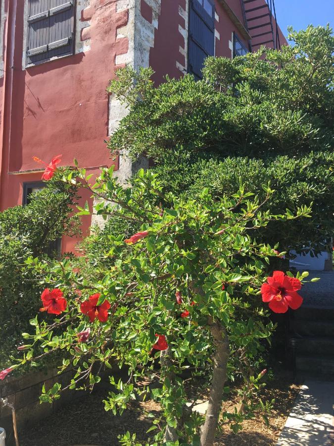 Oasis Guesthouse Chania  Buitenkant foto
