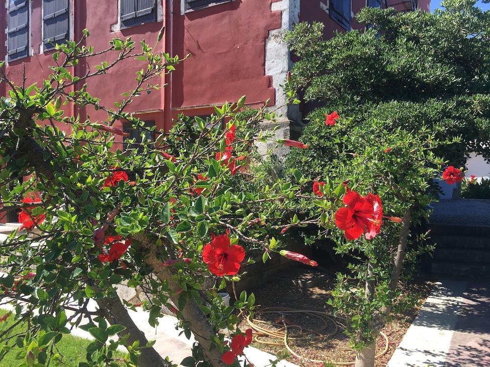 Oasis Guesthouse Chania  Buitenkant foto