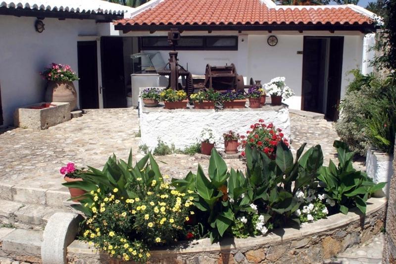 Oasis Guesthouse Chania  Buitenkant foto